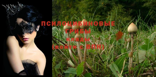 кокаин колумбия Пестово