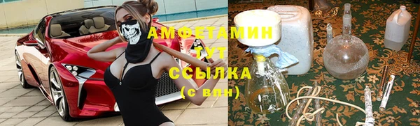 круглые Пересвет