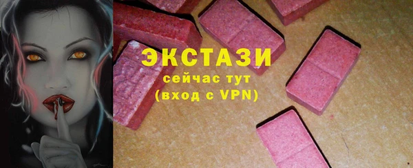 стаф Гатчина
