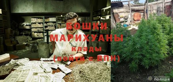 ГАЛЛЮЦИНОГЕННЫЕ ГРИБЫ Покачи