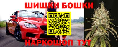 прущие крисы Камышлов