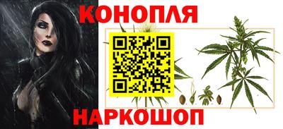 прущие крисы Камышлов
