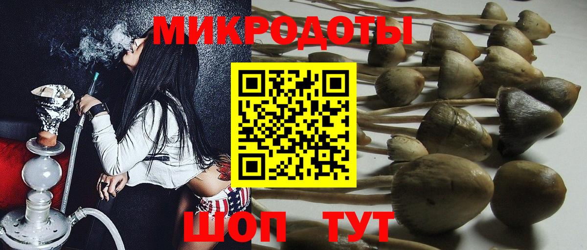 Муром  Псилоцибиновые грибы GOLDEN TEACHER  Вход с VPN 