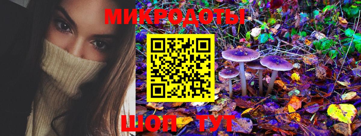Псилоцибиновые грибы MAGIC MUSHROOMS Муром