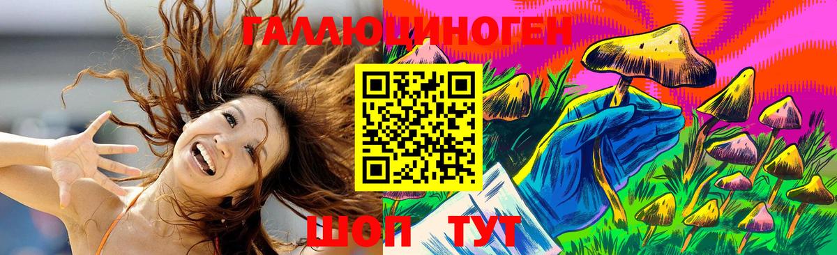 Псилоцибиновые грибы GOLDEN TEACHER  Муром  Псилоцибиновые грибы Magic Shrooms 